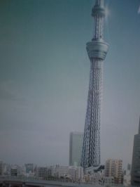 ｽｶｲﾂﾘｰ