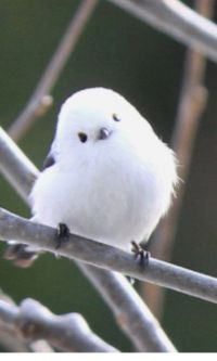 遚ł